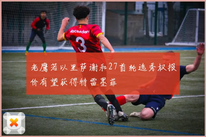 老鹰若以里萨谢和27首轮选秀权报价有望获得特雷墨菲